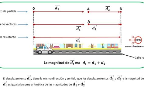 Analisis Vectorial Y Suma De Vectores Colineales Nivel Intermedio