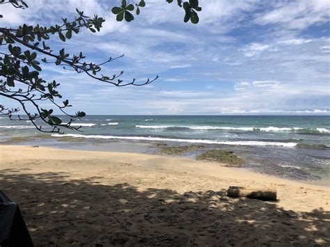Playa Chiquita Beachfront | Tropical Living Collective Real Estate