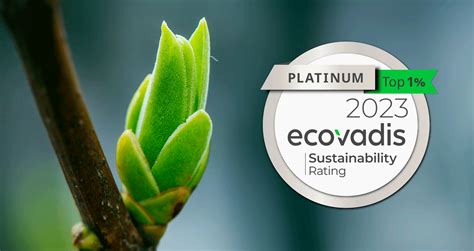 Lipoid Kosmetik Is Recognized By EcoVadis For Outstanding