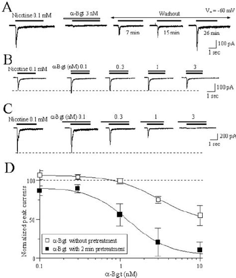 Antagonist Concentration Response Relationships For MLA Acting