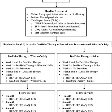 Summary Of The Trial Design Download Scientific Diagram