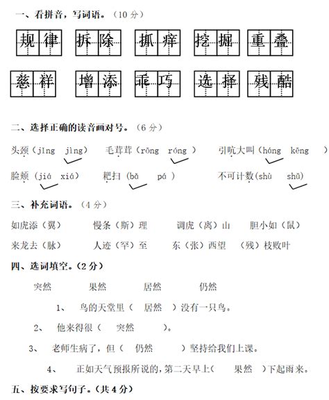 2017 2018年人教版四年级上册语文期中答案四年级语文期中上册奥数网