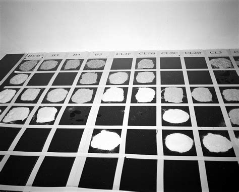 Jackie Kennedy: A Photographic Journey Through Her Life 5