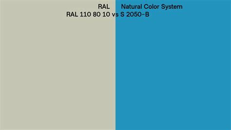 RAL RAL 110 80 10 Vs Natural Color System S 2050 B Side By Side Comparison