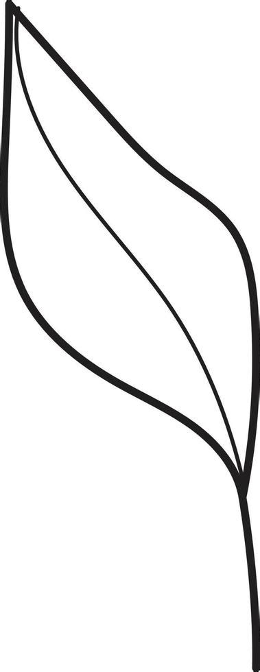 Leaf drawing vector 22953791 Vector Art at Vecteezy