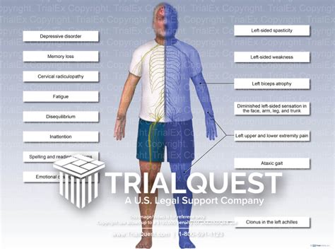 Patient Condition Trialquest Inc