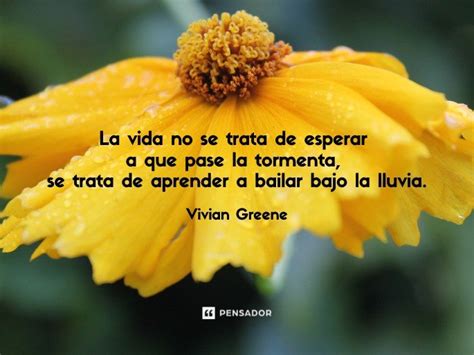 Las Mejores 95 Frases De La Vida Para Reflexionar Pensador