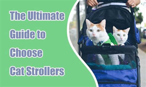 The Ultimate Guide To Choose Cat Strollers Mewcats