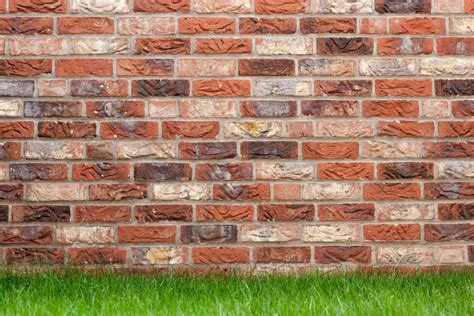 How to Build a Single Brick Garden Wall | DIY Home Garden