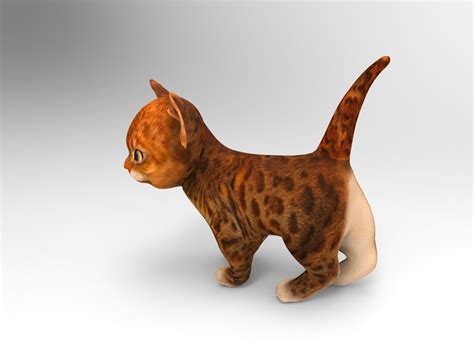 Cute cat animation 3D model - TurboSquid 1218470