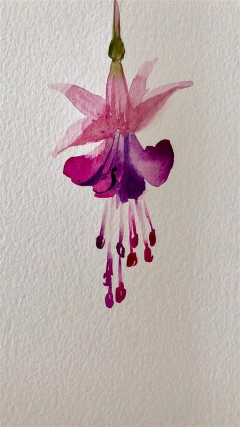 Kanchan Kaul On Instagram Easy Freehand Fuchsia Love The Flower And