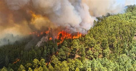 Alerta Atmosférica En Zapopan Y Guadalajara Por Incendio Forestal La