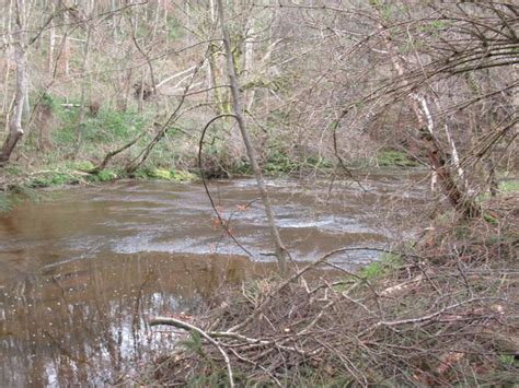 The Hart Burn Les Hull Geograph Britain And Ireland