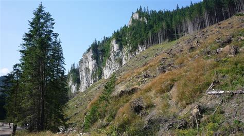 Tatry Poland Mountains - Free photo on Pixabay - Pixabay