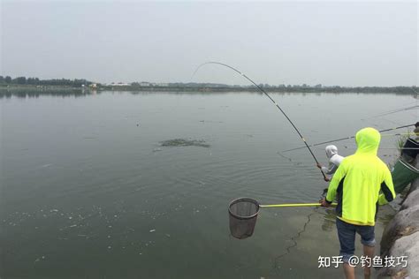 什么鱼类诱食剂的效果最好？鱼类诱食剂的诱食效果对比 知乎