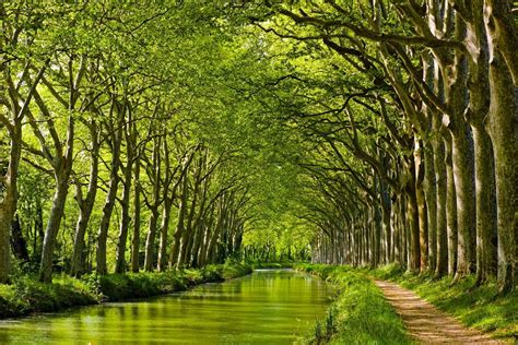 Photos Du Canal Du Midi Lofficiel Du Canal Du Midi