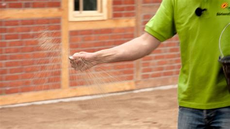 Rasen Auss En So Geht Es Richtig Ndr De Ratgeber Garten