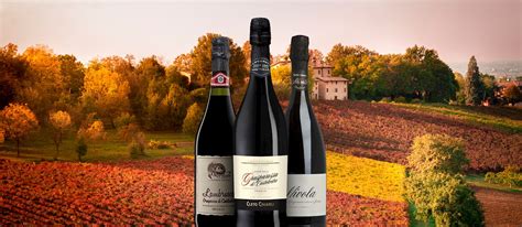 Lambrusco Grasparossa di Castelvetro | Local Wine Appellation From Province of Modena, Italy