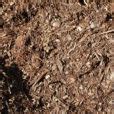 Double Ground Forest Mulch Sapar Landscaping Supplies