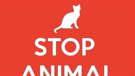 Petition · Stop Animal Abuse United States ·