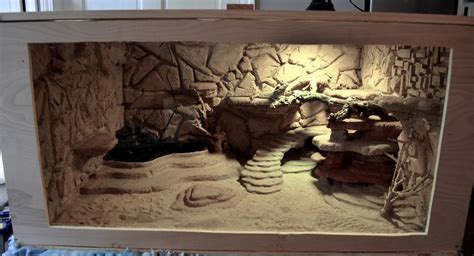 I Built A Custom Reptile Enclosure Reptile Enclosure Reptiles Enclosure