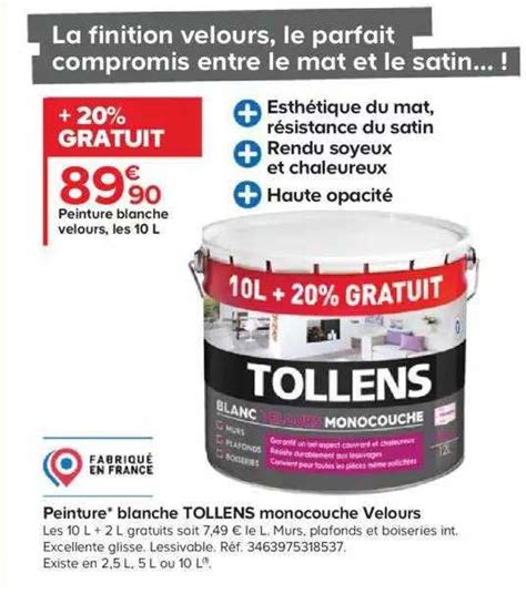 Promo Peinture Blanche Tollens Monocouche Velours Chez Castorama