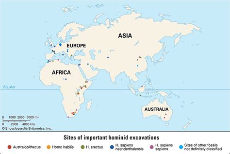 human evolution Facts | Britannica