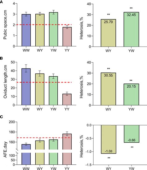 Frontiers Genetic Basis Of Sexual Maturation Heterosis Insights From