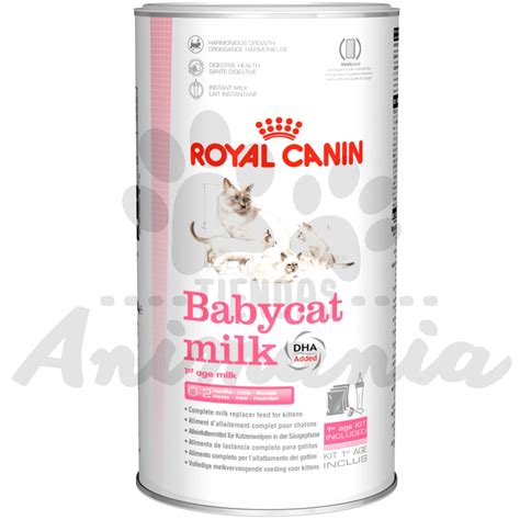 ROYAL CANIN GATO BABY CAT MILK 300 GR | Animania