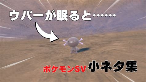 【ポケモンsv】ウパーが眠ろうとすると野生ポケモンの小ネタ【ポケットモンスター スカーレット・バイオレット】 Youtube