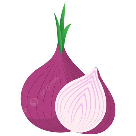 Red Onion With Slices Vector Clipart Red Onion Onion Kitchen