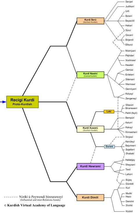 KAL's Kurdish Genealogy Tree | Kurdish Academy of Language