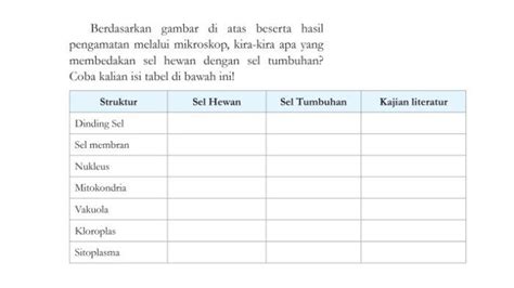 Kunci Jawaban IPA Kelas 8 Halaman 13 Kurikulum Merdeka Bab 1 Sel