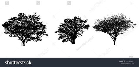 Photoshop Silhouette: Over 345 Royalty-Free Licensable Stock ...