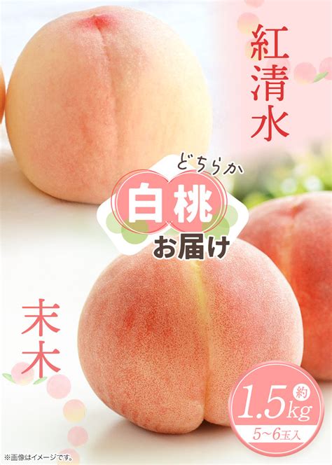 【楽天市場】【ふるさと納税】【2025年発送】岡山県備前市産 樹上完熟白桃 紅清水・末木のうち1品種 約15kg（5～6玉入）フルーツパーク