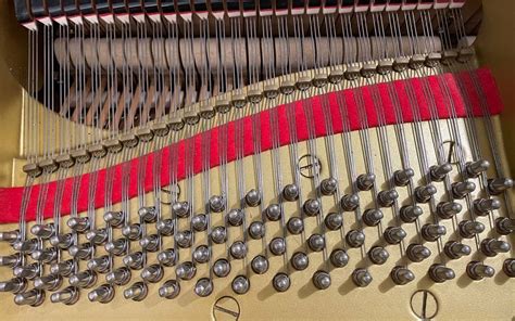 Pianoforte Yamaha C Conservatory Accordatura Vendita Noleggio