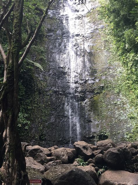 Manoa Falls Trail | Lovely Lotus