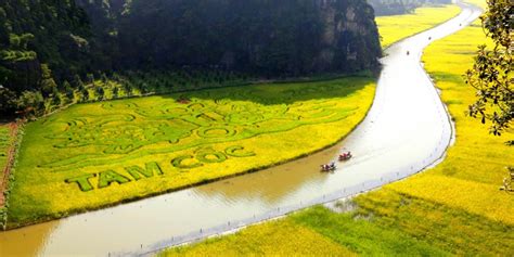 From Hanoi Ninh Binh Hoa Lu Ancient Capital Tam Coc Boat Mua Cave