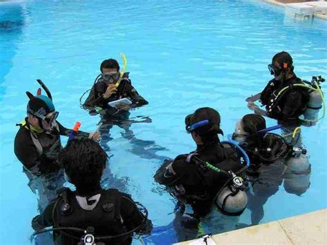 how to become a padi instructor
