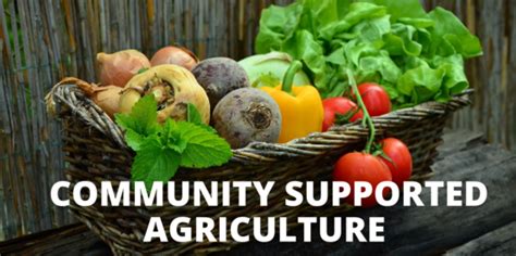 Cornell Cooperative Extension Csa Farm Listing