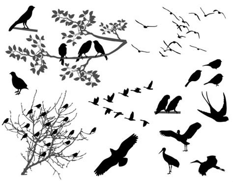 Tree and bird silhouette ⬇ Vector Image by © idesign2000 | Vector Stock ...