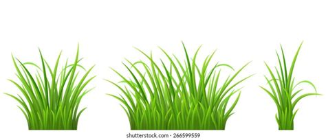 11,260 Tuft grass Images, Stock Photos & Vectors | Shutterstock