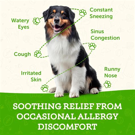 Animal Essentials Seasonal Allergy Support for Dogs & Cats