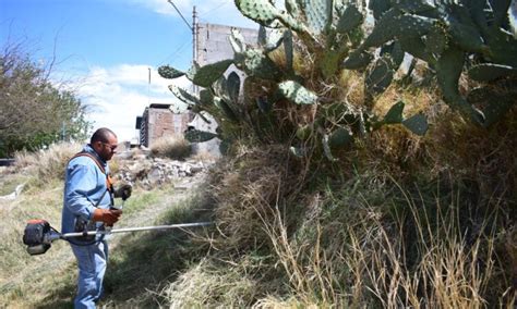 Retira Municipio M S De Mil Toneladas De Basura Y Maleza En Arroyos