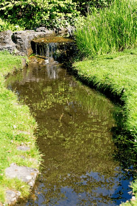 Innovative Backyard Stream Ideas With Pictures Backyard Stream