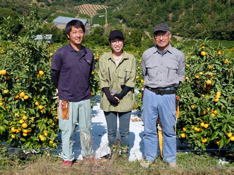 御浜町のみかん 青を編む｜三重県御浜町