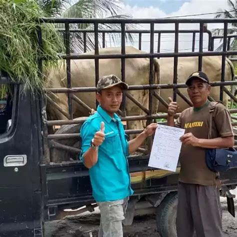 Jelang Idul Adha Pemkab Asahan Lakukan Pemeriksaan Hewan Qurban