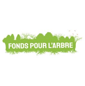 Plan De Travail Afac Agroforesteries