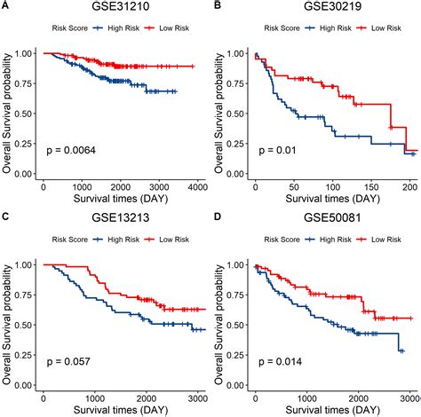 Establishment And Validation Of An Eight Gene Metabolicrelated