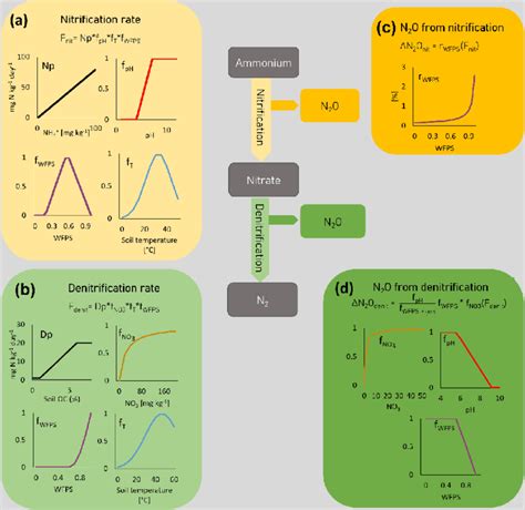 Representation of the model of nitrification rate (a), denitrification ... 